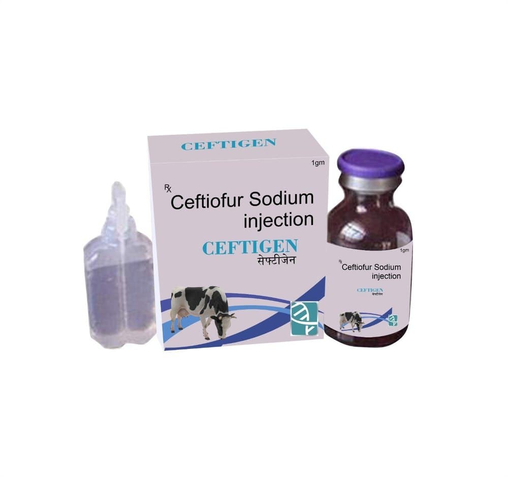Ceftiofur Sodium at Best Price in India