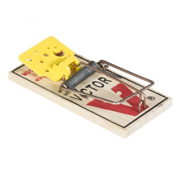 Victor Wooden Mouse Trap - American Equipment & Supply