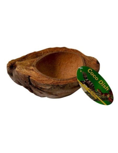 Lucky Reptile Coco Dish