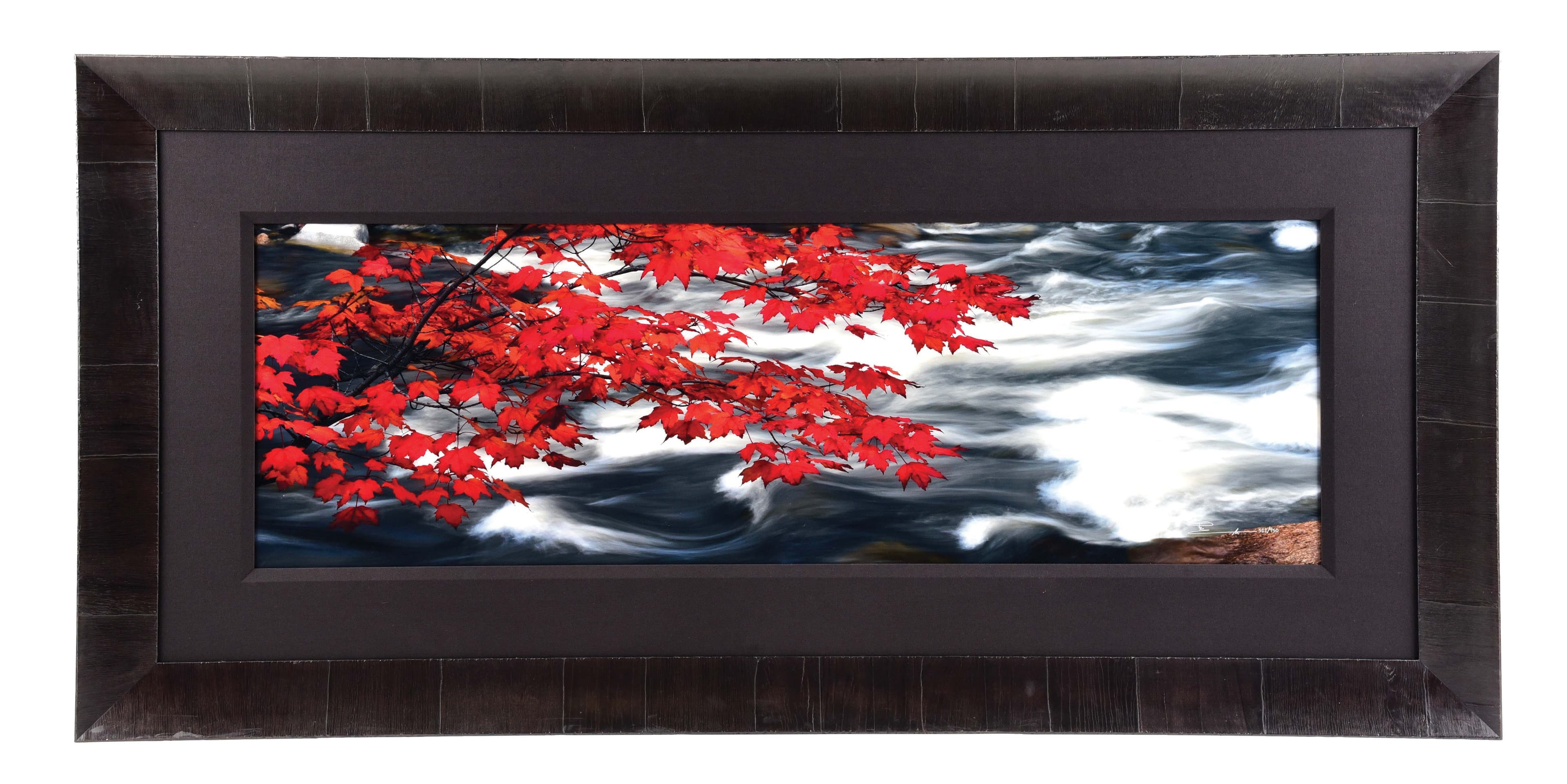 Lot Detail - PETER LIK LIMITED EDITION FRAMED PHOTOGRAPH "RIVER OF ZEN".