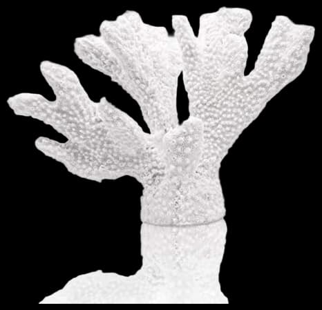 Amazon.com: ALIWINER Blue Coral Statue Resin Coral Tabletop Decoration ...