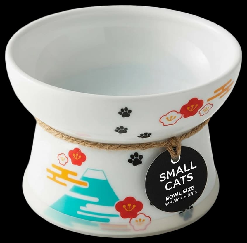Snapklik.com : Upgrade Whisker-Fatigue-Free Cat Slow Feeder Bowl ...