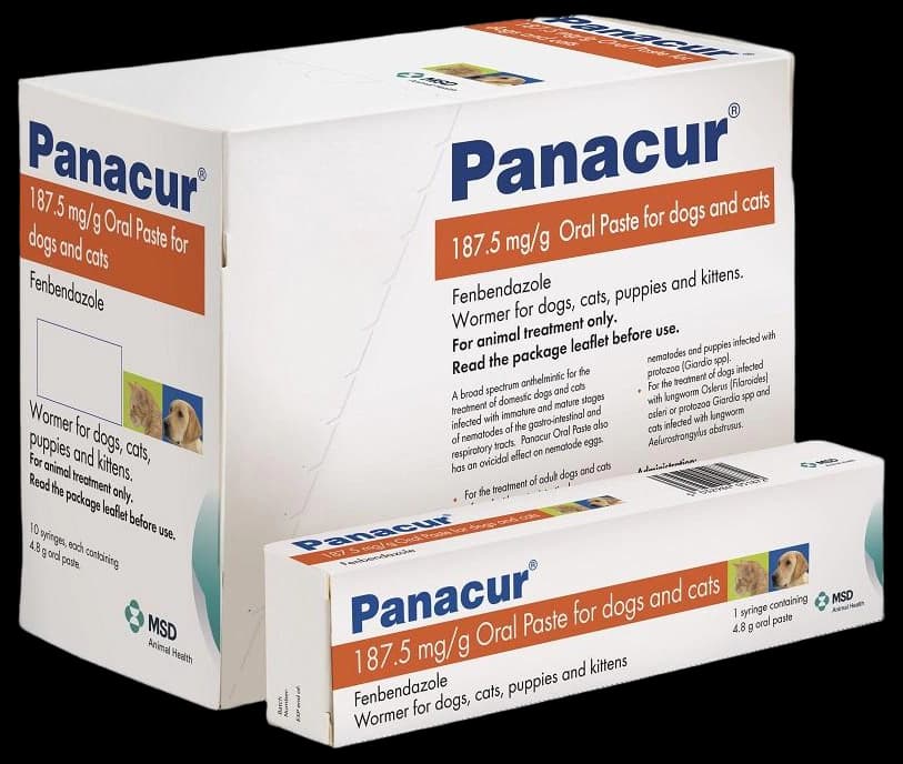 Panacur Oral Paste