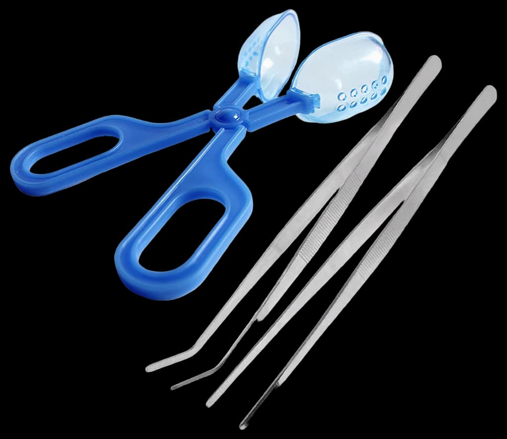 3in1 Feeding Tool Reptile Feeding Tongs Cricket Clamp Bug Scooper ...