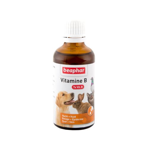 Beaphar Vitamin B Complex | Supplement | Buy online