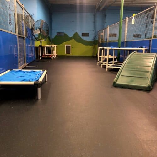 Rubber Flooring Mats for Dog Agility Training | Perfect Surfaces