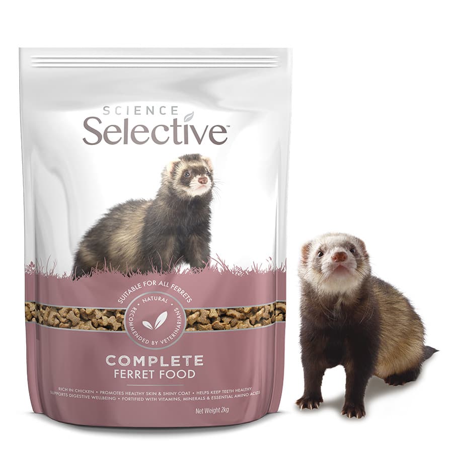 What Can Ferrets Eat Complete Ferret Food Chart My Pet Ferret