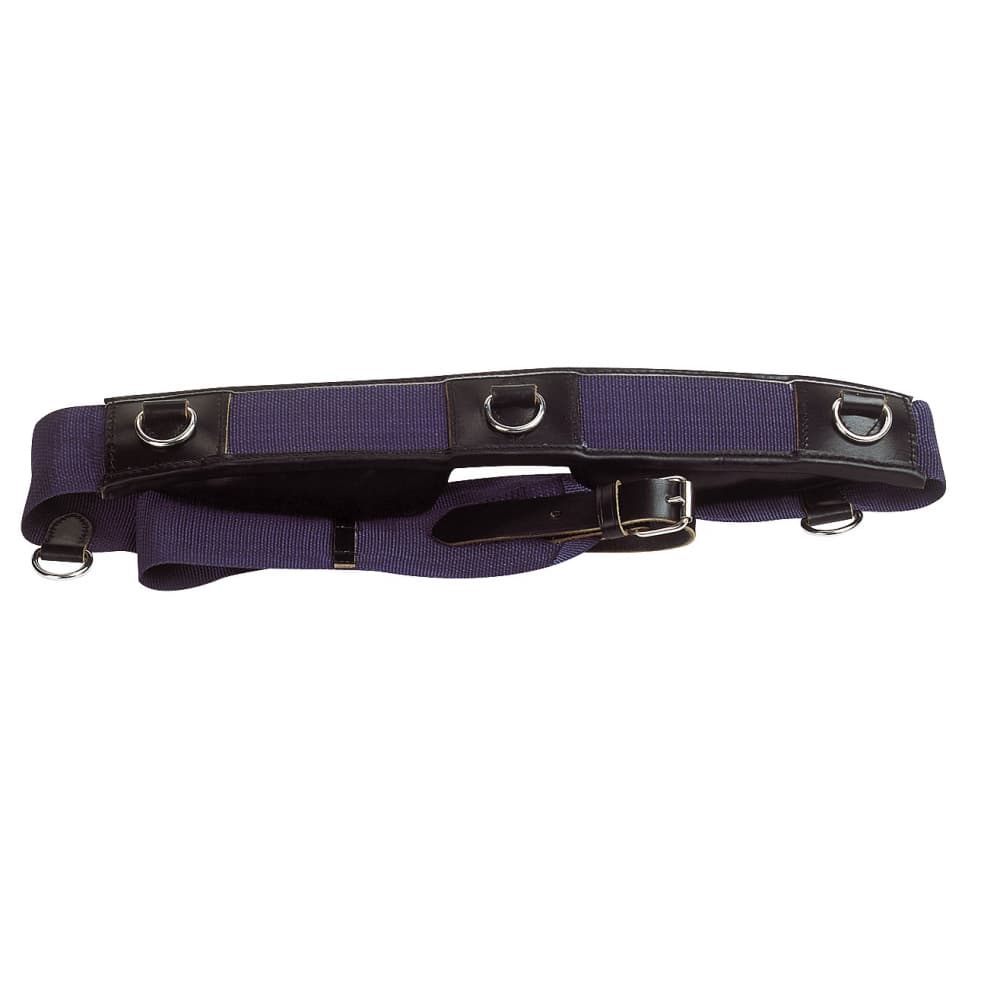 Excelsior Nylon roller with rings leather pads - PADD - cavesons ...