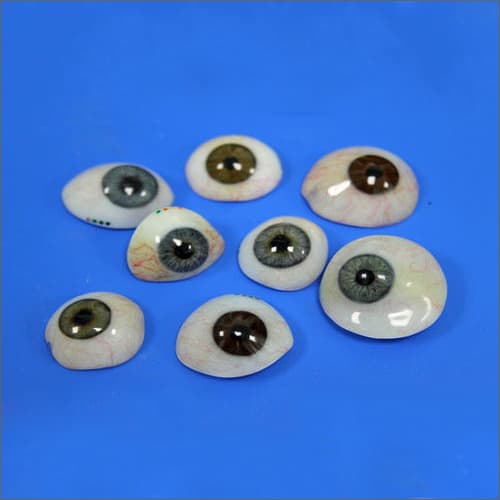 Acrylic Powder Green Artificial Prosthetic Eye at 700.00 INR in Ambala ...