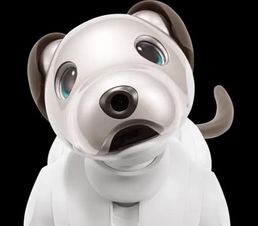 Sony aibo Companion Robot | ERS1000