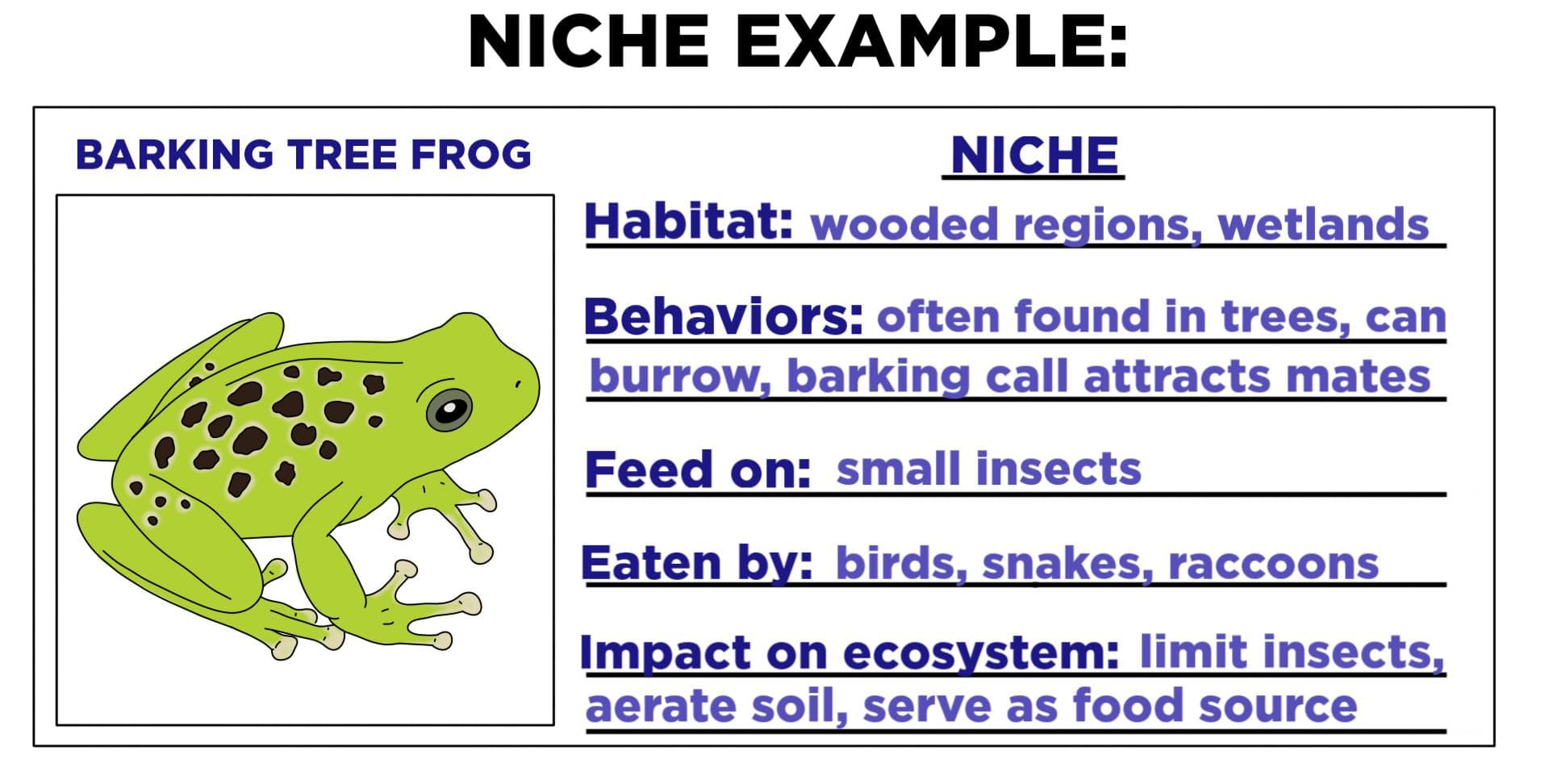 Niche (Ecology) — Definition & Examples - Expii