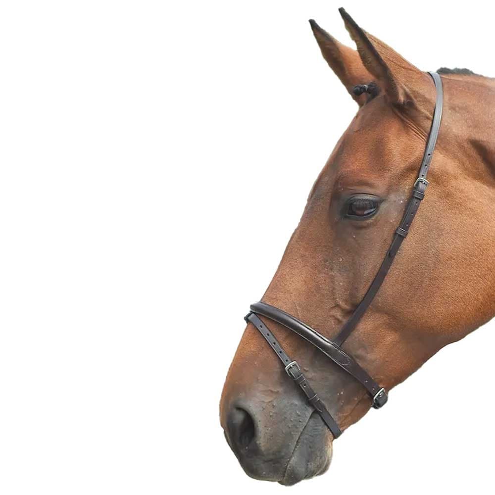 Shires Blenheim Flash Noseband | Houghton Country