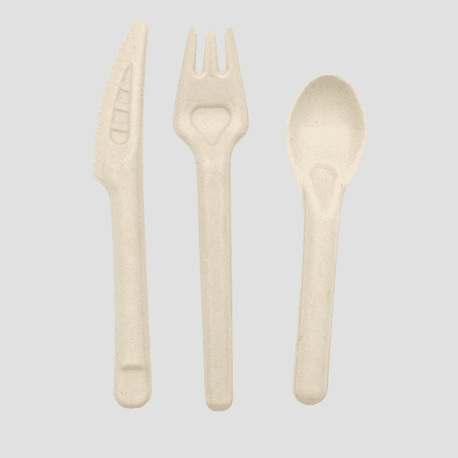 Disposable bagasse cutlery set - Directecogreen