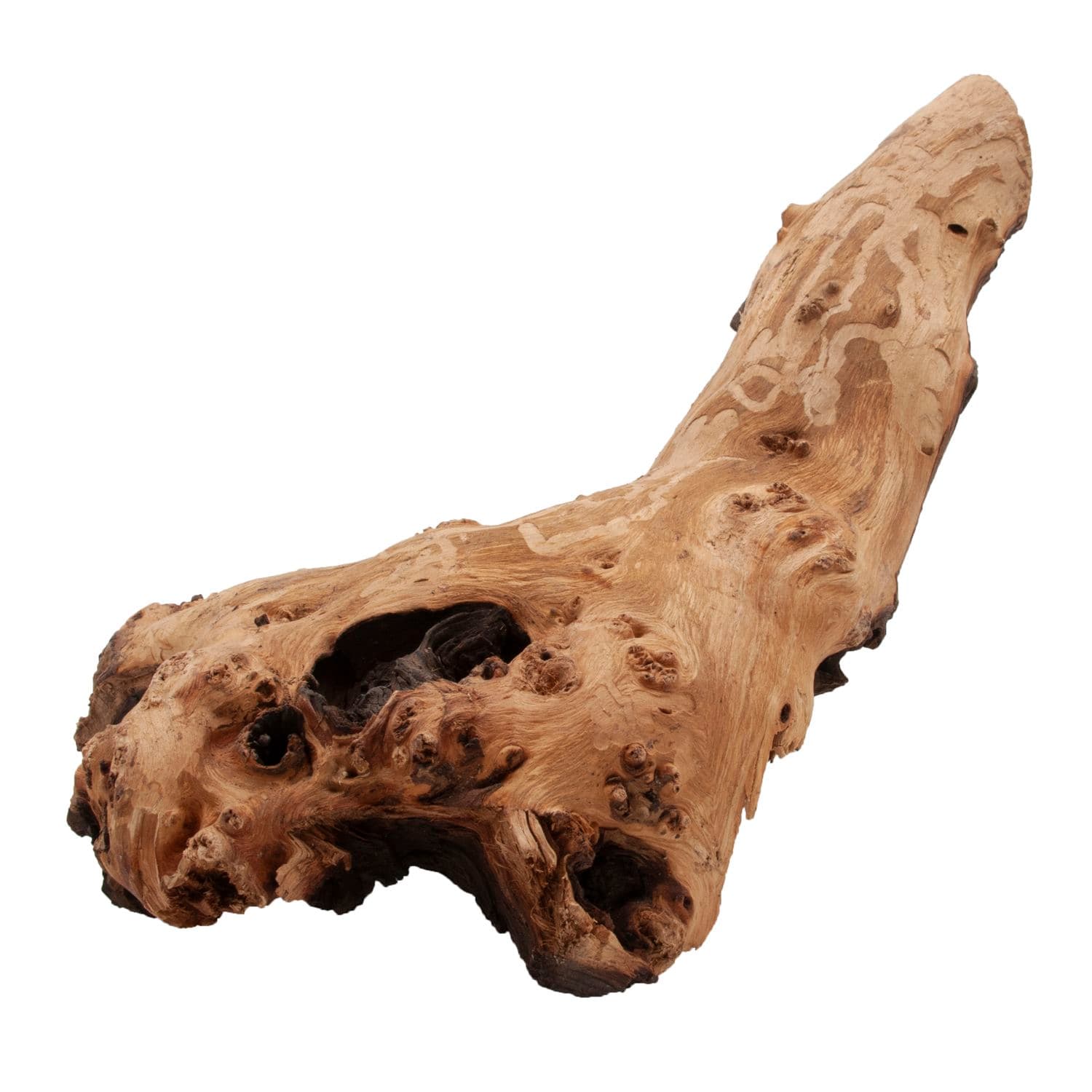 Mopani Wood - African Hardwood - Custom Aquariums