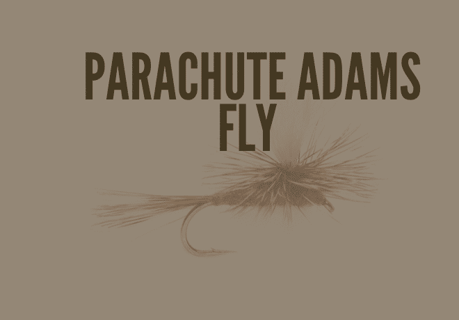Parachute Adams Dry Fly | Fly Fish + Camp