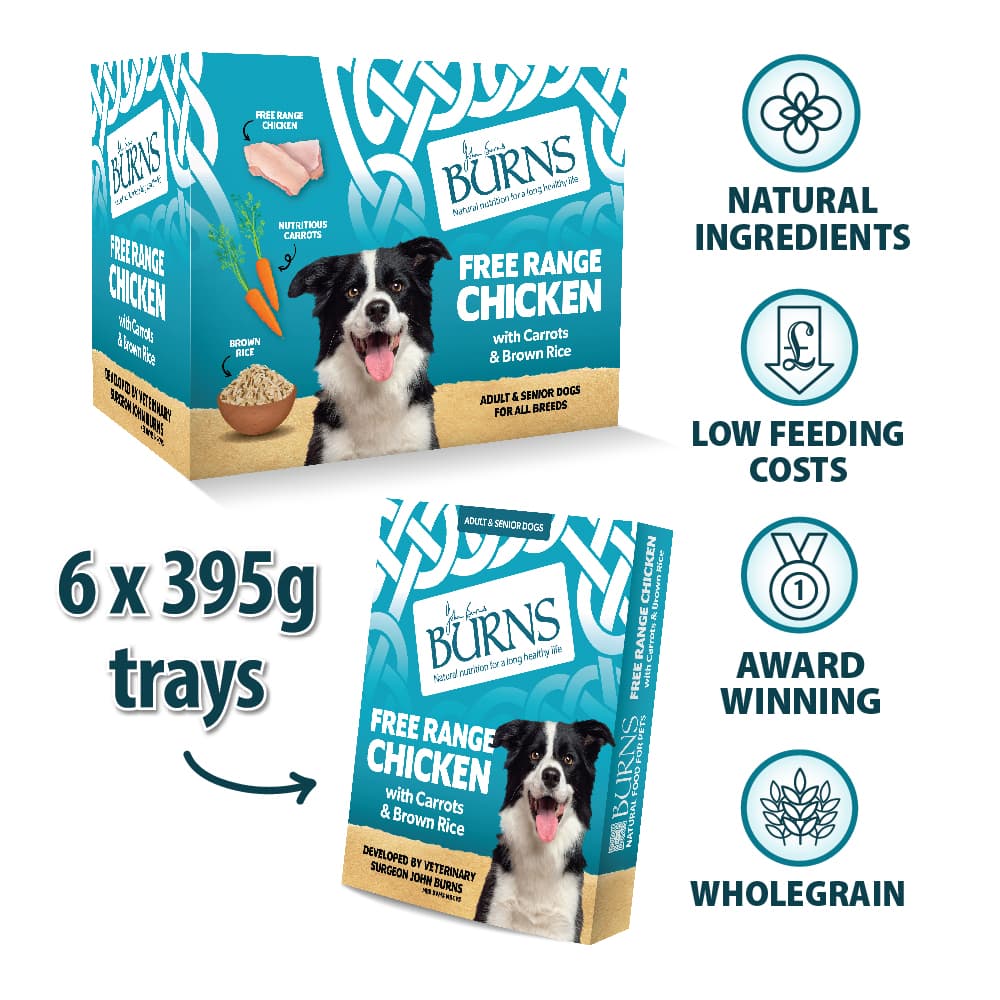 Burns Adult & Senior Chicken & Rice Wet Dog Food