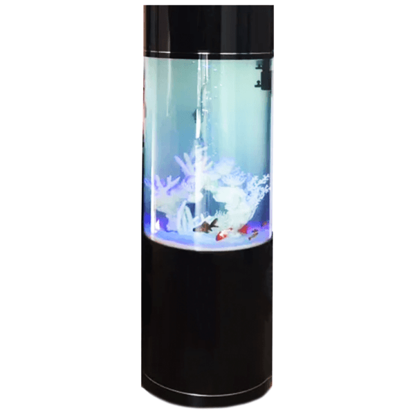 Cylinder Acrylic Aquarium with Top Filtration | Buy Online