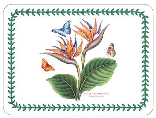 Pimpernel Exotic Botanic Garden Placemats | Fasci Garden