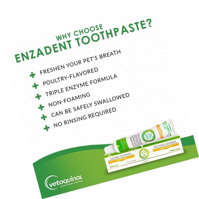 Vetoquinol Enzadent Enzymatic Toothpaste for Cats & Dogs – 3.2 Oz 90g ...