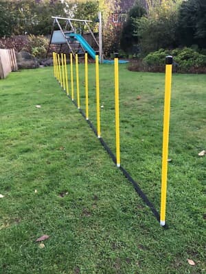 Dog Agility Basic 12 Pole Weave set + 12 Pole Webbing by Jessejump ...
