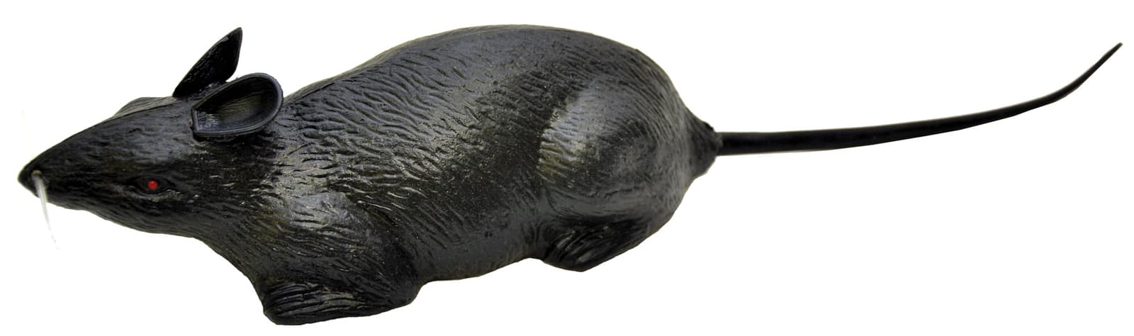 Black Realistic Rat Individual Haunted House Decorations & Props Forum ...