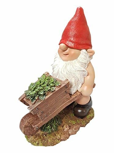 Vivid Arts Wheelbarrow Gnaughty Gnome (BG-PN71-F) Frost Resistant ...