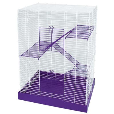 Syrian Savic Hamster Cage Two Guinea Pig Robo Tiny Tray Cheap Young ...