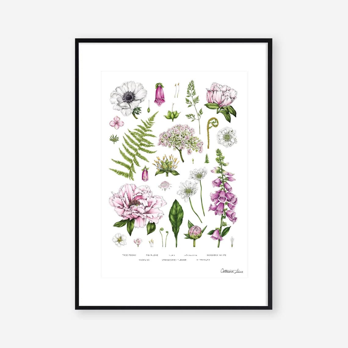 Habitat Bold Botanical Wall Art