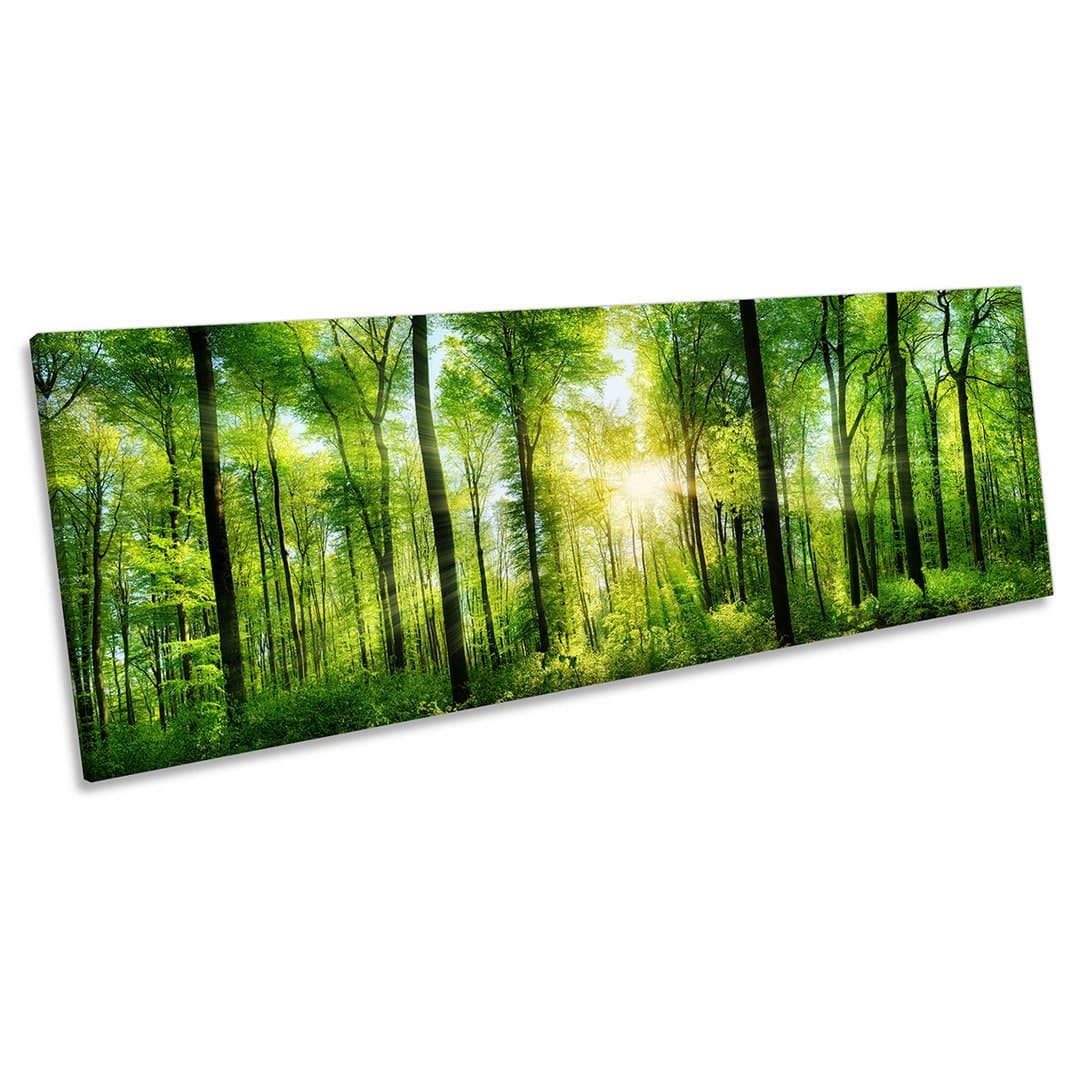Green Forest Trees Sunset Panorama CANVAS WALL ART Framed Print - Etsy