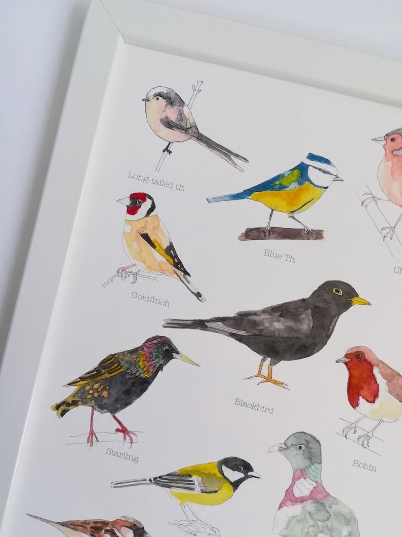 British Garden Birds A4 Print Bird Lovers Gift Nature - Etsy