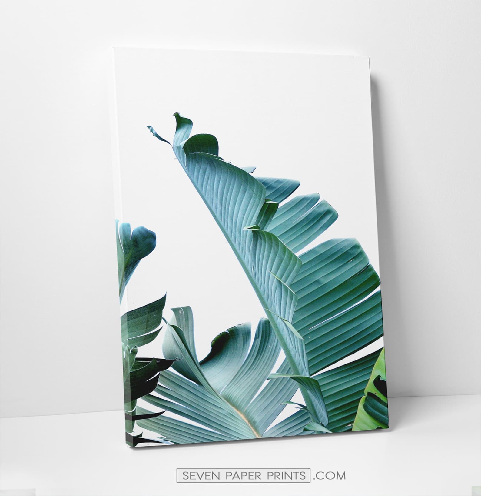 Canvas Tropical Leaves 3 Piece Wall Art Extra Large Botanical | Etsy