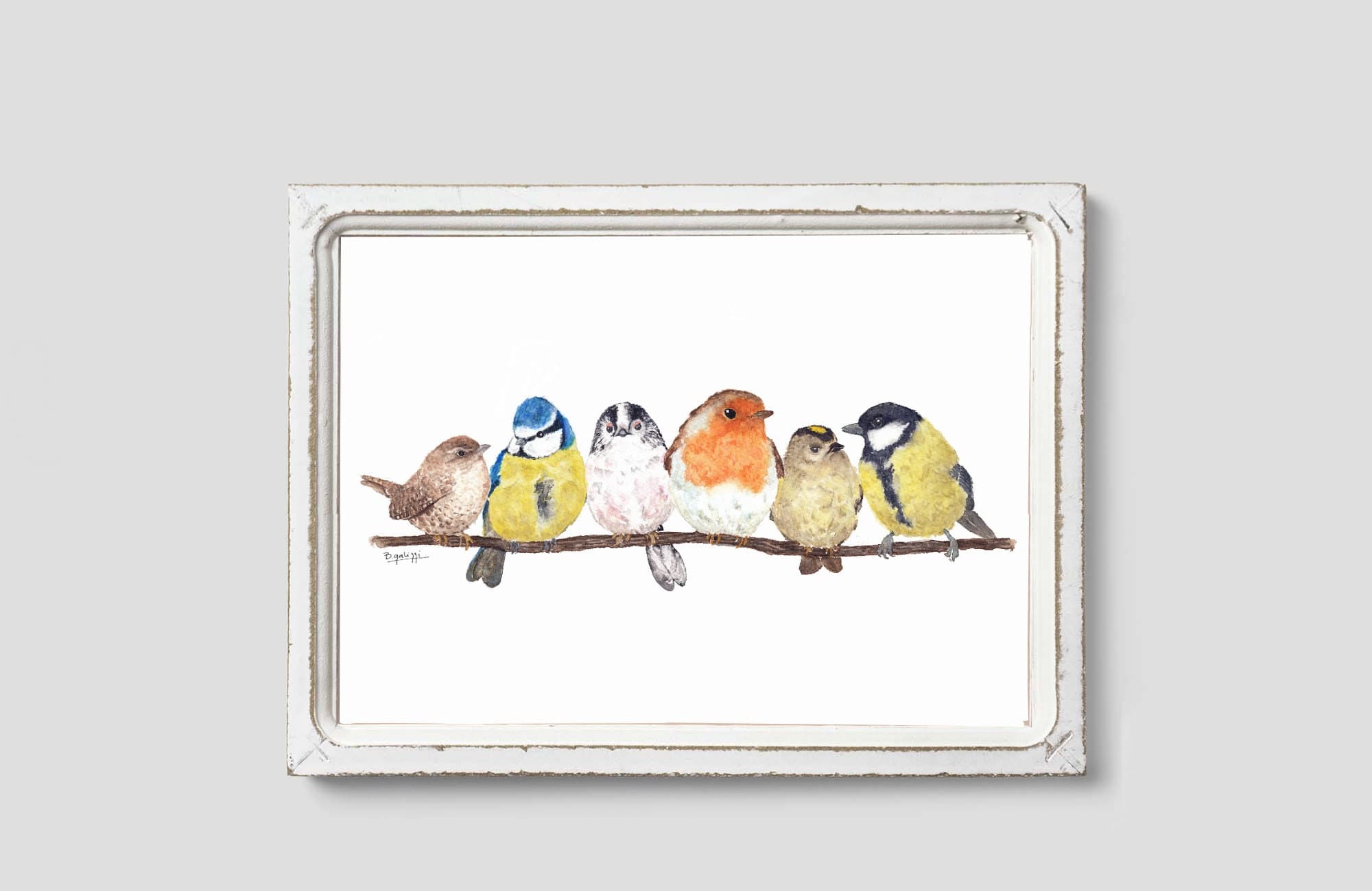 British Garden Birds Print. Birds on Branch Wall Art. Bird - Etsy