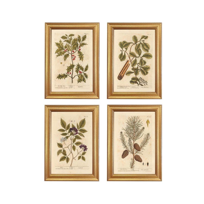 The Dybdahl Co. Botanical Print Collection