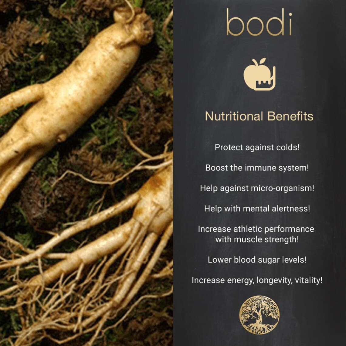 Ginseng Siberian Eleuthero Root Powder 4oz to 5lb 100% - Etsy