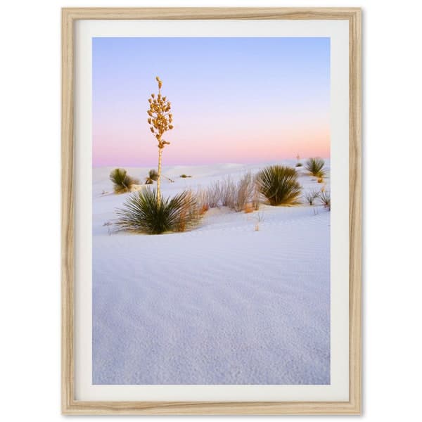 Framed Desert Wall Art - Etsy