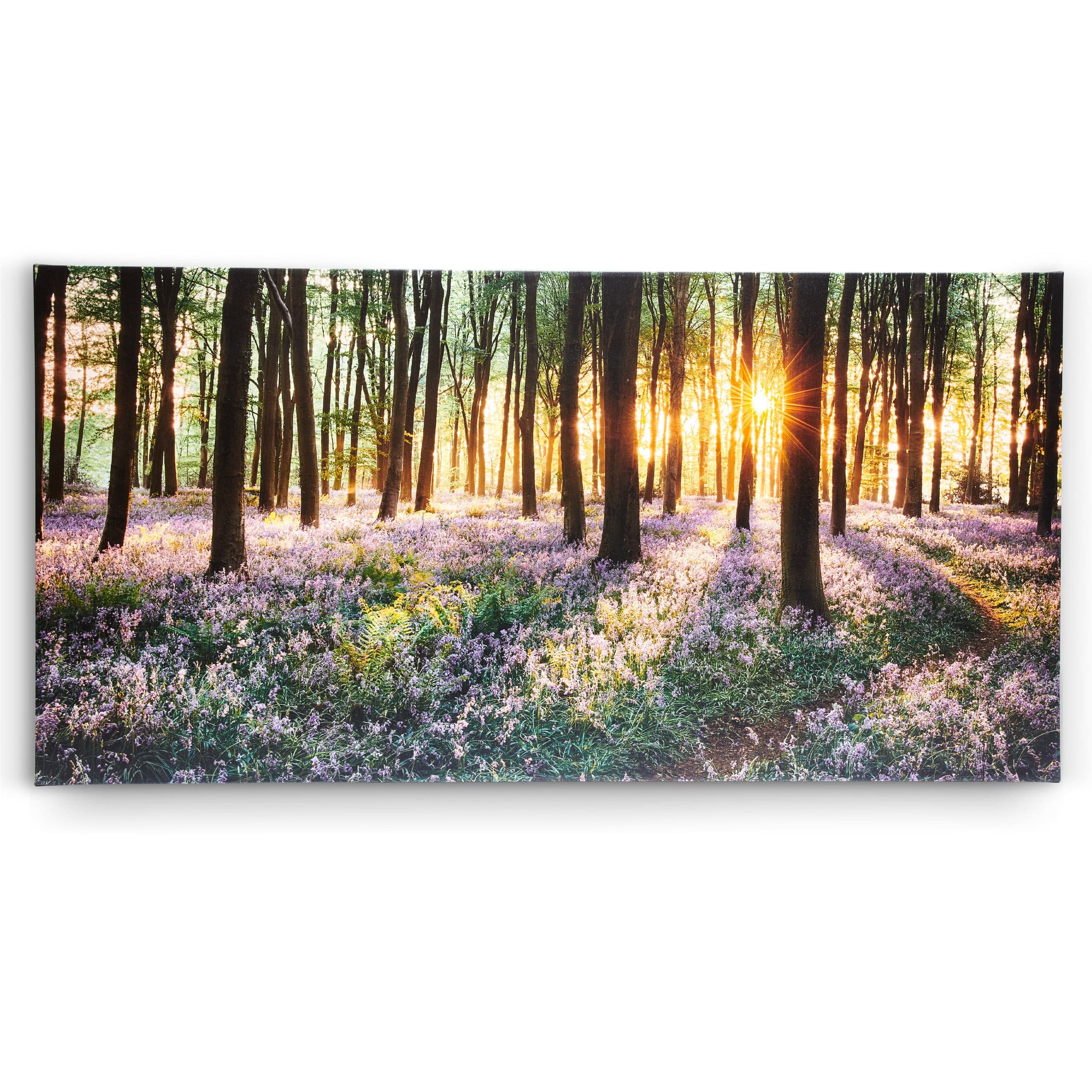 Serene Summer Green Forest Landscape Canvas Print Wall Art Canvas Ready ...