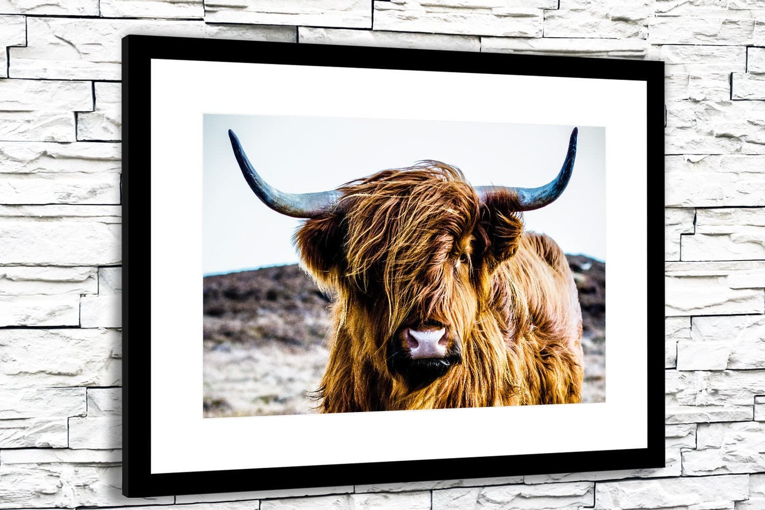 Highland Cow Framed Print Kmart at Elizabeth Burrows blog