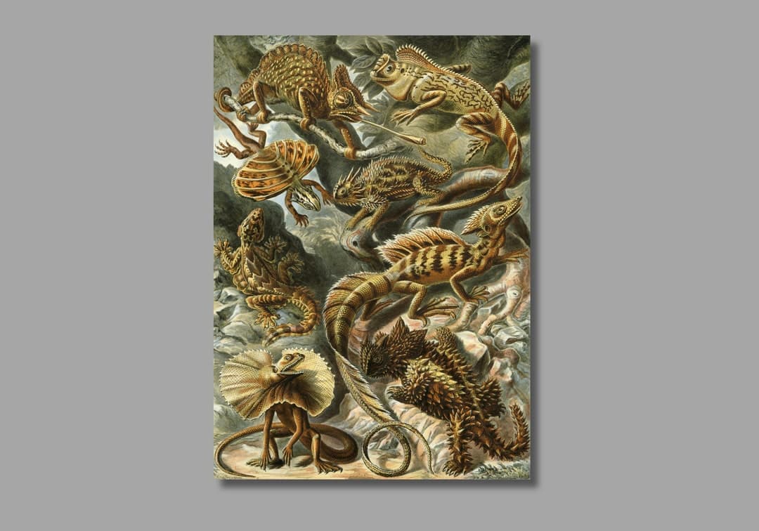 Ernst Haeckel Lacertilia Art Print, Vintage Lizard Canvas Wall Decor - Etsy