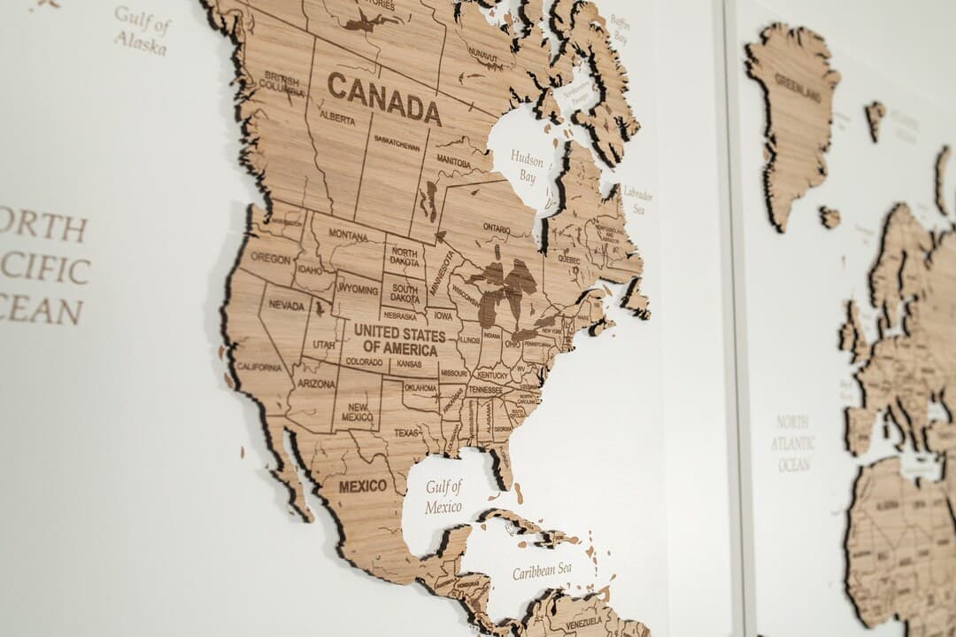 Oakdene Designs Wooden World Map Wall Art