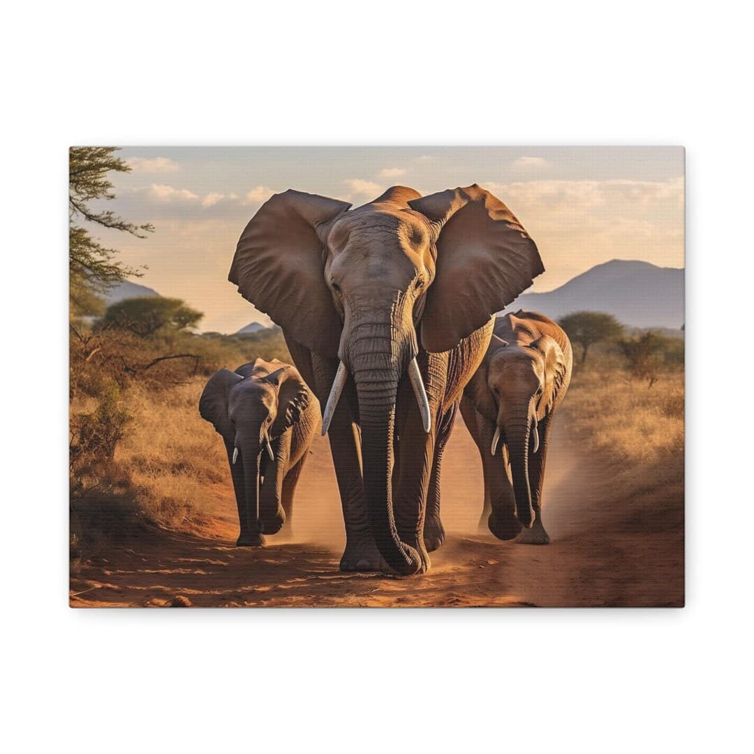 Next Safari Wildlife Canvas Art Collection