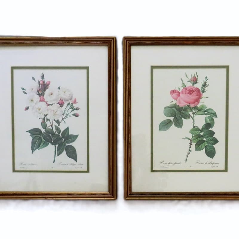 Botanical Rose Print - Etsy