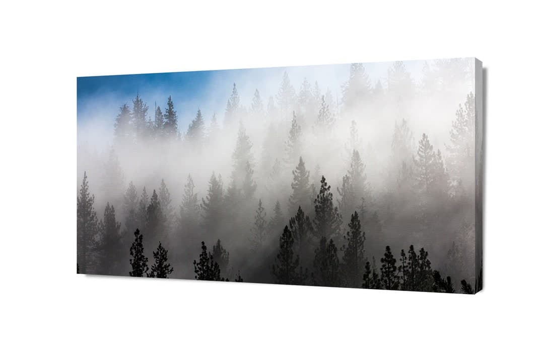 Misty Forest Wall Print, Landscape Photo on Canvas, Lake Tahoe Trees ...