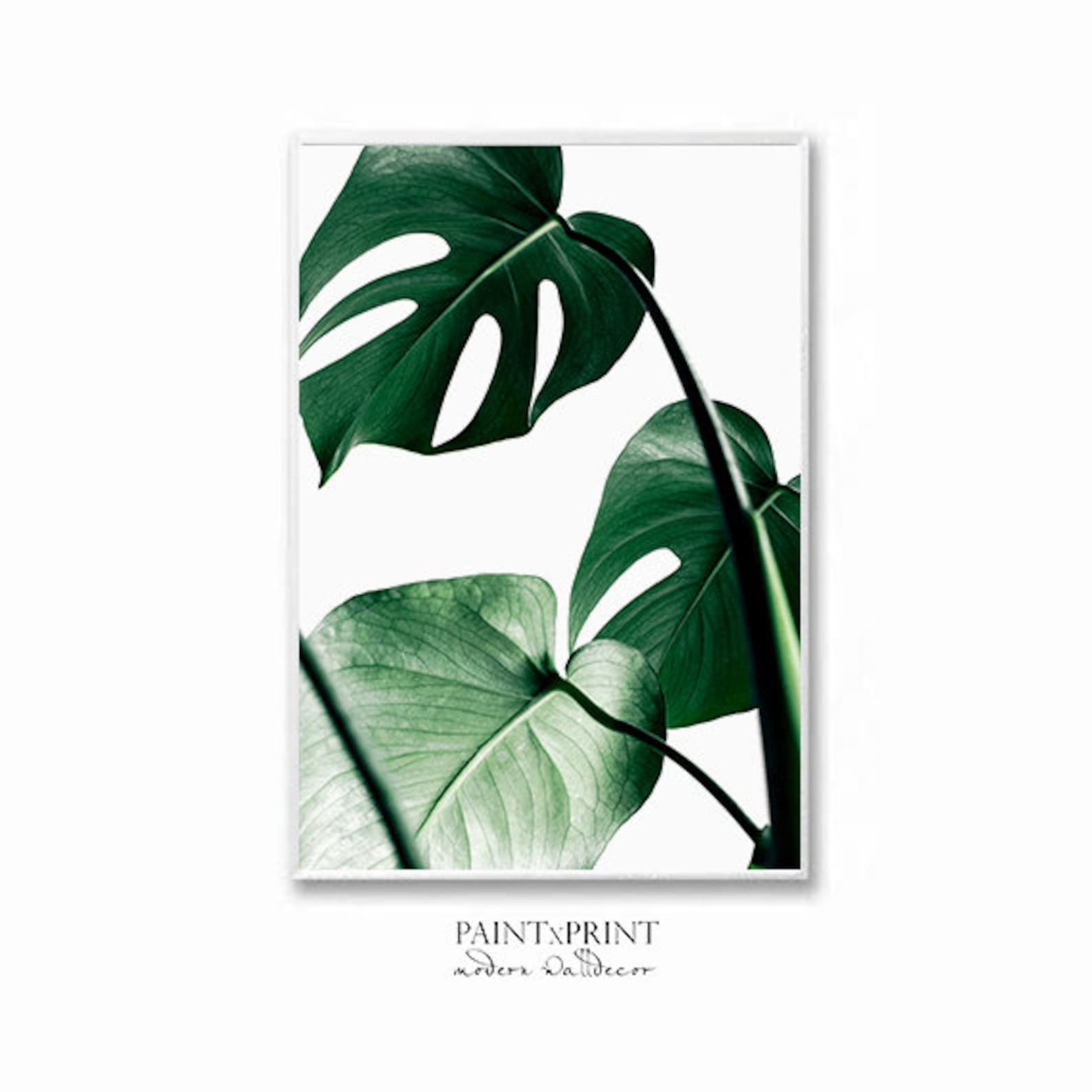 Desenio Monstera Leaf Botanical Print