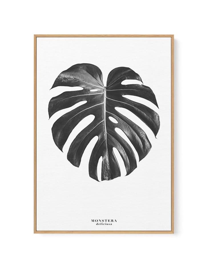 Monstera Deliciosa | Framed Canvas | Monstera deliciosa, Extra large ...