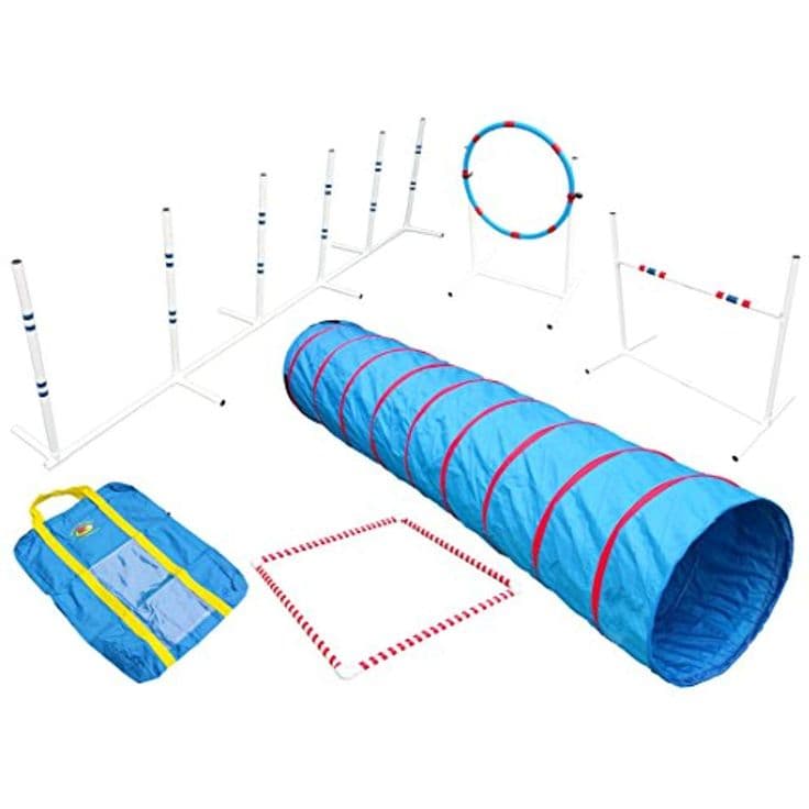 Fun and Affordable Agility Set with 9 ft Tunnel