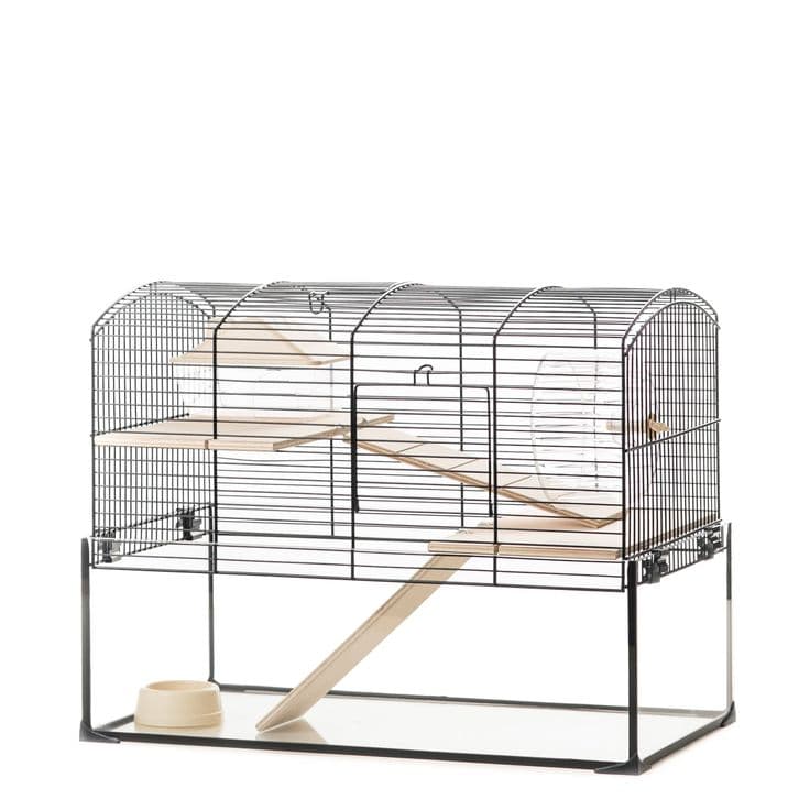 Little Friends Mayfair Gerbilarium Cage with Accessories, 51.5 x 28 x ...