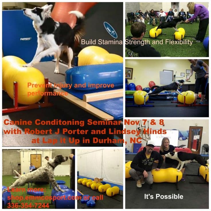 Canine Conditioning Seminar with FitPaws and Dog Treadmills