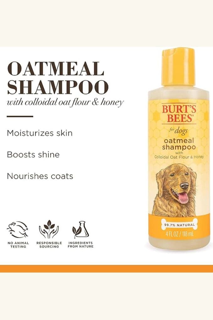 Burt's Bees for Pets Naturally Derived Oatmeal Shampoo with Colloidal ...