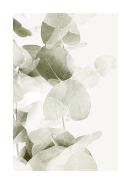 Botanical prints | Plants and floral posters | Desenio.co.uk | Abstract ...