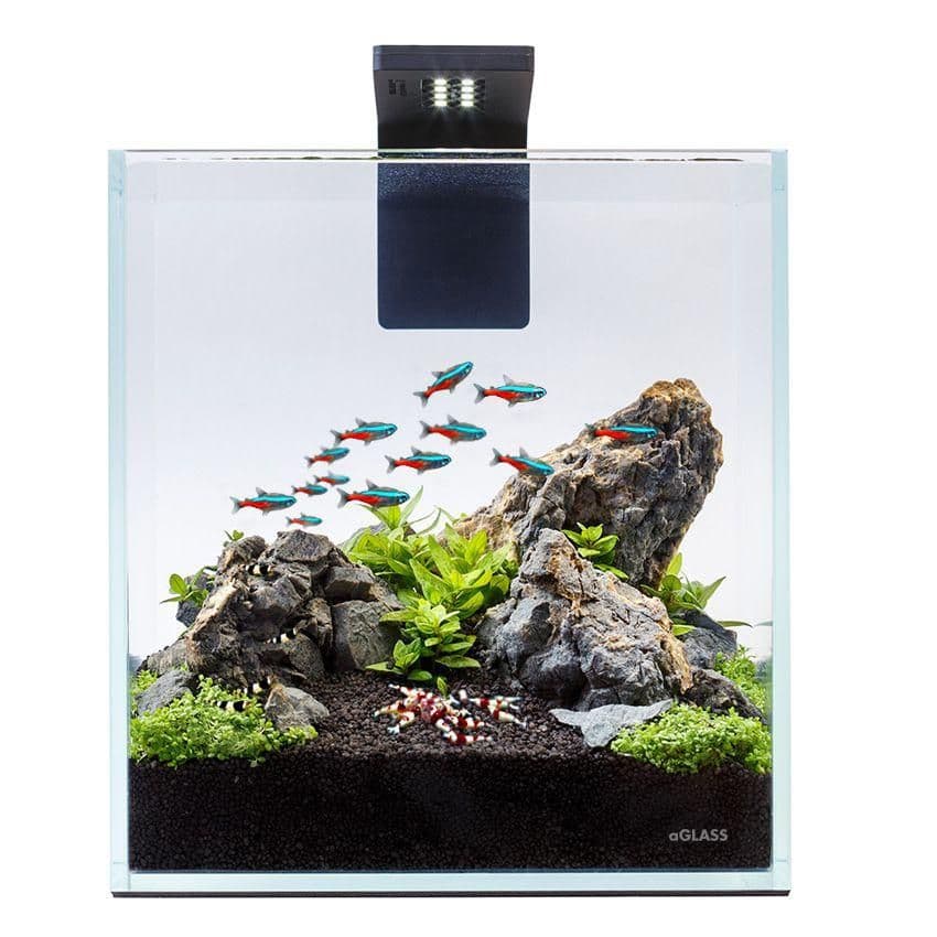 nano-desktop-aquarium-kit-led-filter-2 | Fish tank terrarium, Aquarium ...